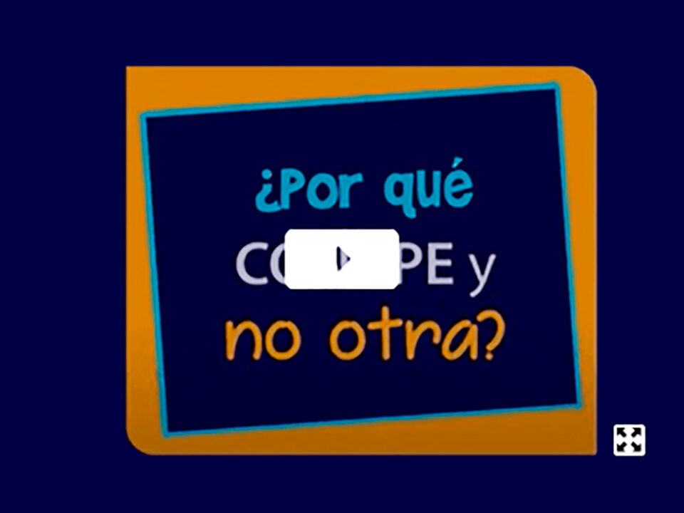 Ir a ¿Por qué elegir CONAPE?