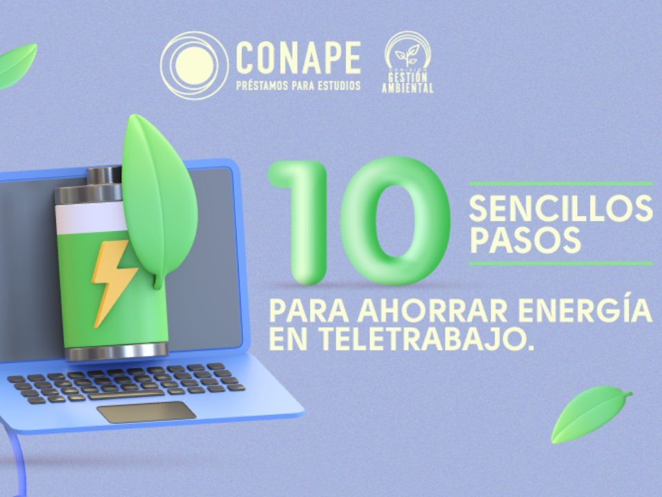 10 Sencillos pasos para ahorrar energía en Teletrabajo